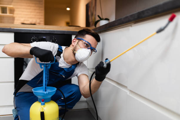 Best Affordable Pest Control Services  in Dravosburg, PA