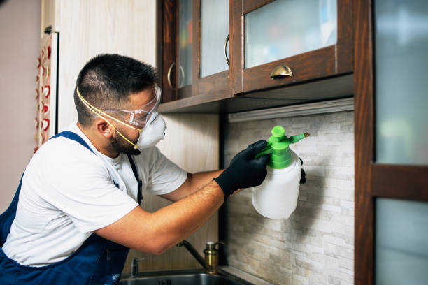 Best Cockroach Control Services  in Dravosburg, PA