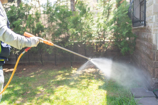 Reliable Dravosburg, PA Pest Control Solutions