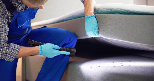 Best Pest Control Near Me  in Dravosburg, PA