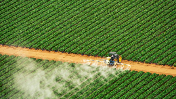Best Commercial Pest Control Services  in Dravosburg, PA