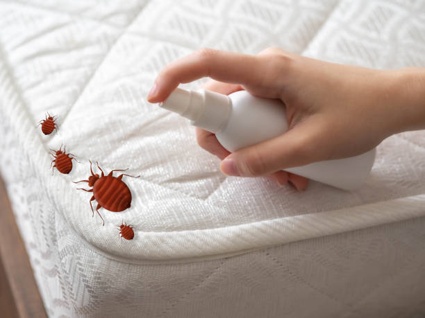 Best Pest Inspection Near Me  in Dravosburg, PA