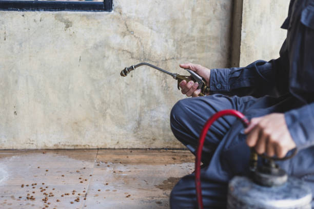 Best Emergency Pest Control  in Dravosburg, PA